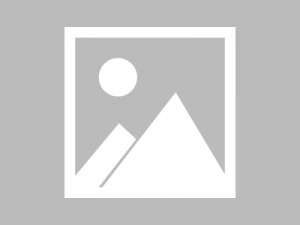 武汉汤逊湖鱼丸：中国最大城中湖的洁白美味